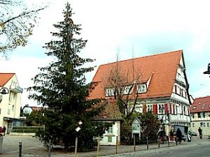 Weihnachtsbaum Stuttgart-Hedelfingen Marktplatz Altes Haus