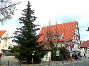 Weihnachtsbaum Hedelfingen Altes Haus