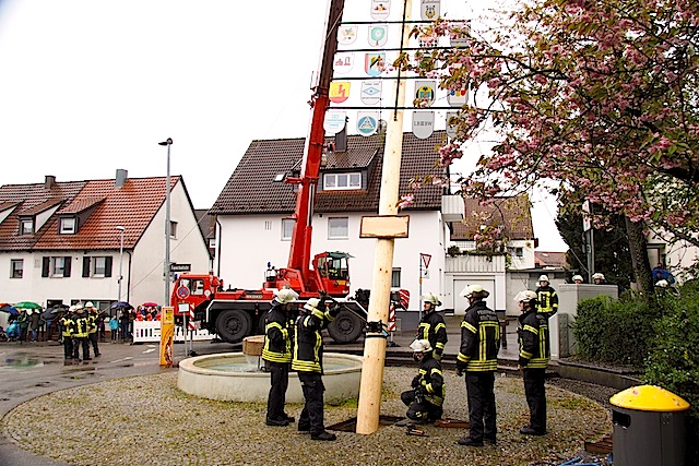 Maibaumaufstellung Freiwillige Feuerwehr Stuttgart Heumaden 1.5.2015