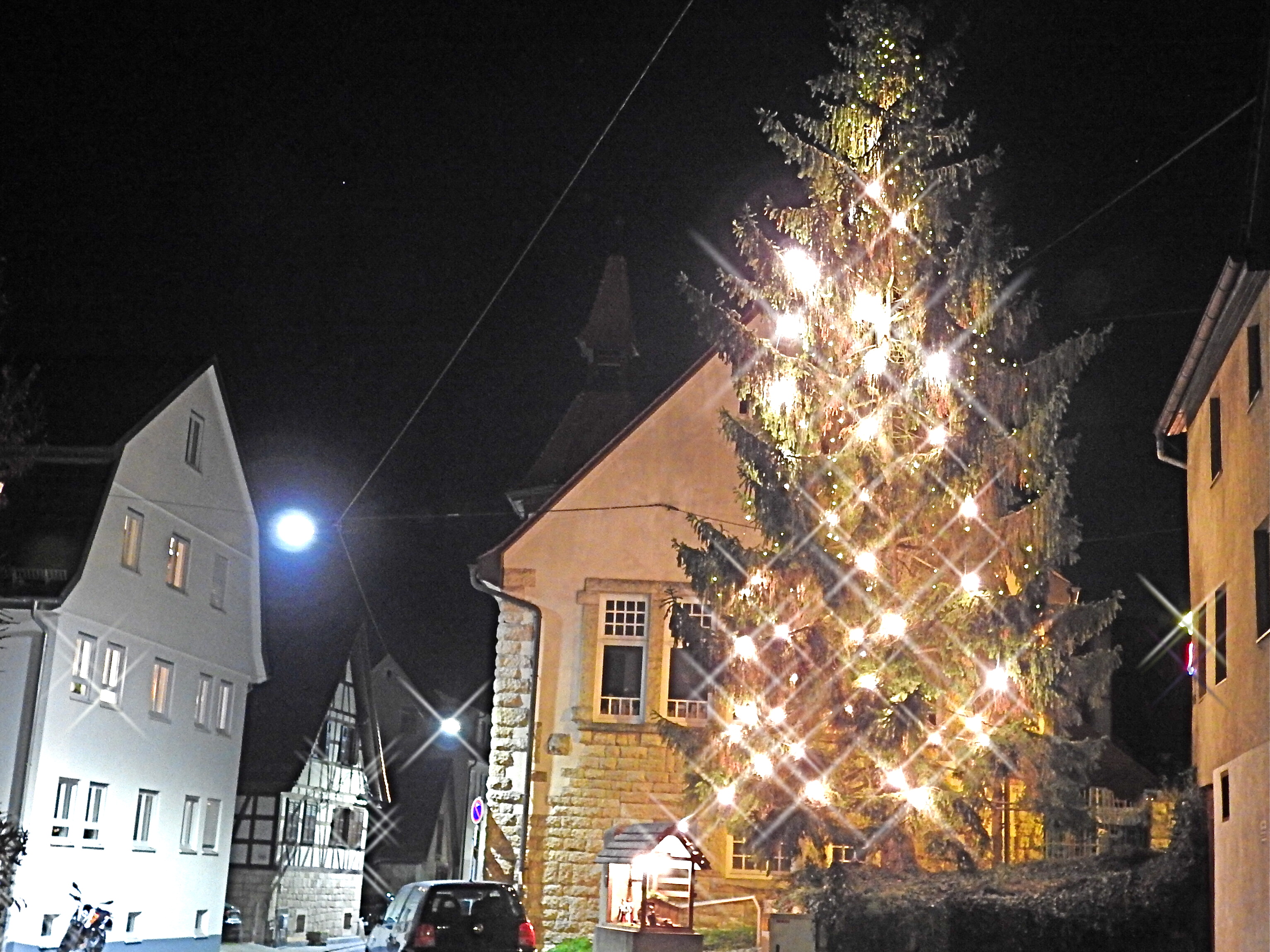 Weihnachtsbaum in Alt-Sillenbuch 2016