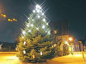 Weihnachtswunschbaum am Platz am Alten Haus in Hedelfingen 2016