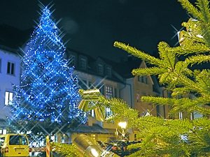 Weihnachtsbaum gegenüber der Kelter in Wangen 2016