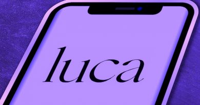 Smartphone Bildschirm mit Logo der Luca App