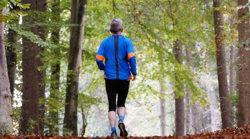 Aktiver Senior joggt durch Herbstwald