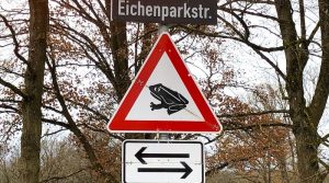 Klappschild Krötenwanderunf an der Eichenparkstraße in Riedenberg