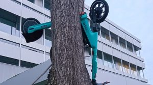 Tier-E-Scotter in einem Baum beim Büro-Campus Wangen