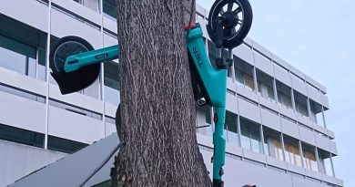 Tier-E-Scotter in einem Baum beim Büro-Campus Wangen