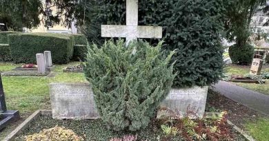 Grab Hahn auf dem Friedhof Stuttgart-Hedelfingen