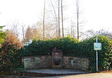 Blick aufs Burgbrünnele am Rennweg in Wangen