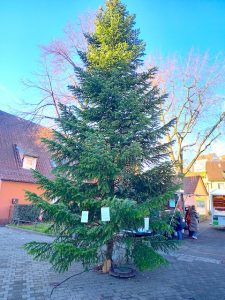 Weihnachtsbaum auf dem Platz am Alten Haus in Hedelfingen 2023