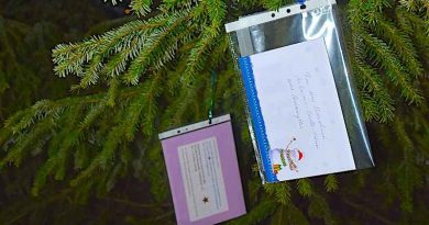 Am Hedelfinger Weihnachtsbaum hängen Wunschzettel