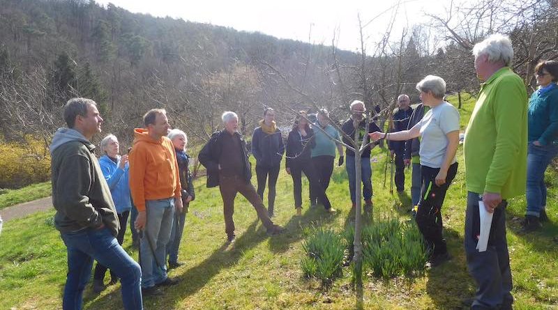 Instruktoren und Teilnehmer beim Schnittkurs im Garten des OGV Rohracker