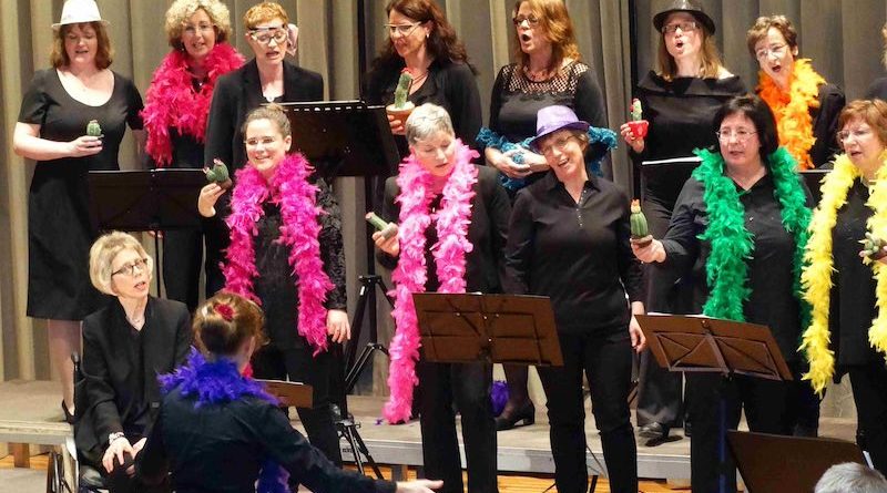 Fun Singers auf der Konzertbühne