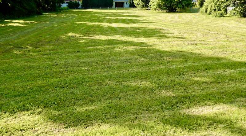 Blick über die Festwiese zur Turn- und Versammlungshalle in Hedelfingen