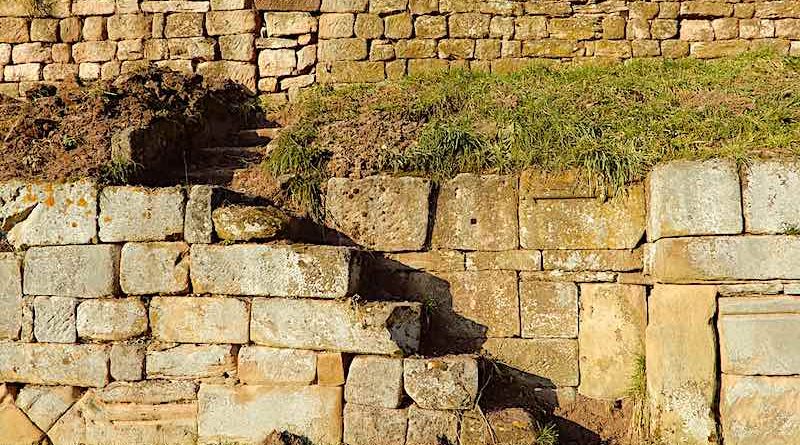 Trockenmauern mit Treppe im Weinberg