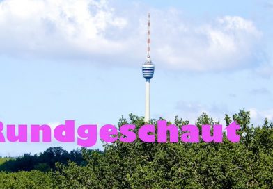 Blick vom Riedenberger Teil des Eichenhains zum Fernsehturm