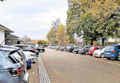 Zwei Reihen parkender Autos in der Parksiedlung
