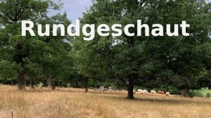 Rundgeschaut Motiv Eichenhain