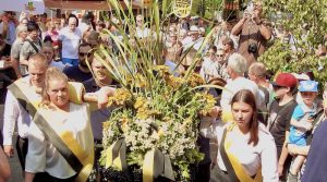 Der Kirbetrauben kommt vor der Kelter Hedelfingen an