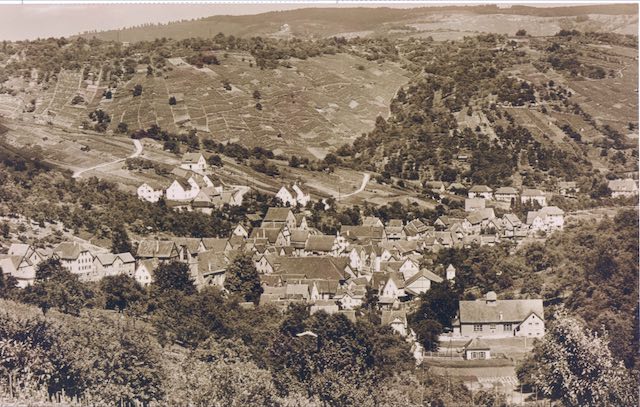 Die Turnhalle im Bußbachtal 1941 (unten rechts), wo sich heute die Tennisanplätze der SKS befinden und der Waldkindergarten Naturstrolche seine Heimat gefunden hat