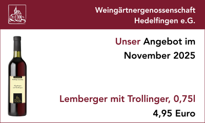 Angebot der WG Hedelfingen im November 2025