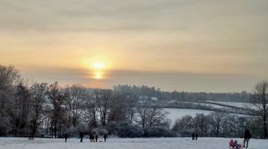 Rodler im Eichenhain vor Sonnenuntergang