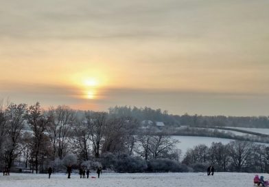 Rodler im Eichenhain vor Sonnenuntergang