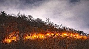 Lichterzug auf dem Staibhöhenweg am 31.12.2025 in Wangen