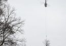 Hubschrauber mit hängendem Baum am Waldrand