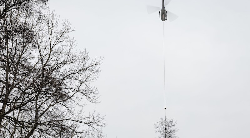 Hubschrauber mit hängendem Baum am Waldrand