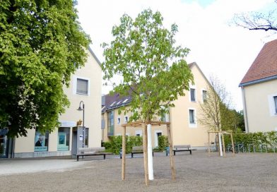 Das Löwen-Areal am Hedelfinger Platz mit zwei neuen Bäumen am 21.4.2026