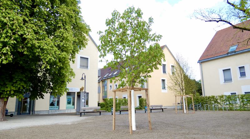 Das Löwen-Areal am Hedelfinger Platz mit zwei neuen Bäumen am 21.4.2026