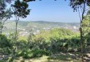Panorama von der Staibhöhe in Wangen
