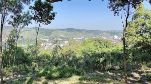 Panorama von der Staibhöhe in Wangen