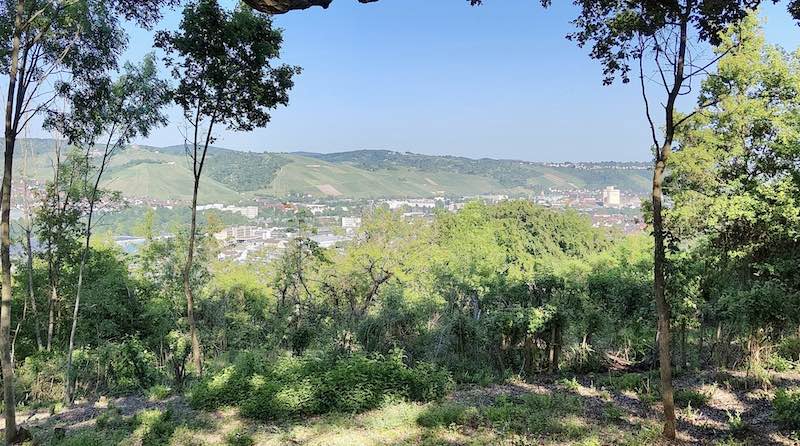 Panorama von der Staibhöhe in Wangen