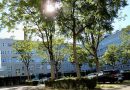 Blick von der Hedelfinger Straße in den Parkhof vor dem Büro Campus Wangen
