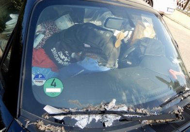 Vermüllter Mazda Roadster beim Friedhof Hedelfingen