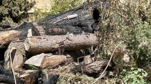 Angebrannter Holzstapel