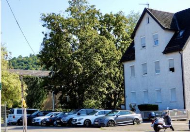 Blick in Richtung Wilhelmsschule auf die Parkplätze an der Gingener Straße