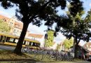 Blick auf den Bereich zwischen den Bäumen beim Kiosk am Hedelfinger Platz