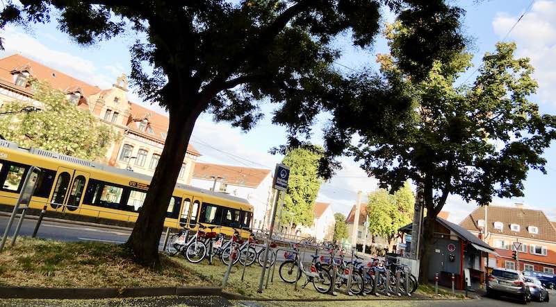 Blick auf den Bereich zwischen den Bäumen beim Kiosk am Hedelfinger Platz